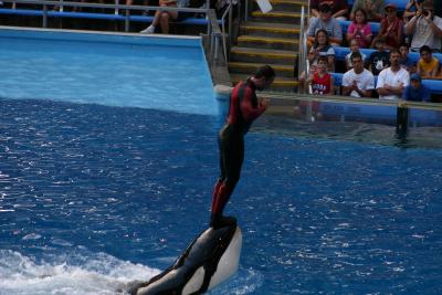 SeaWorld 016.jpg