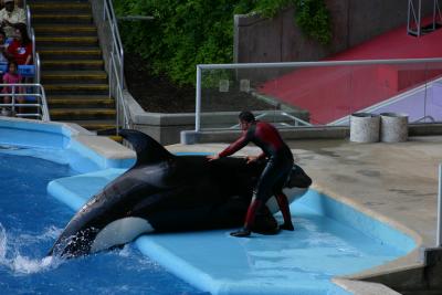SeaWorld 017.jpg