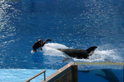 SeaWorld 019.jpg