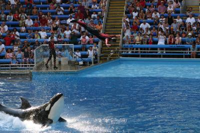 SeaWorld 025.jpg