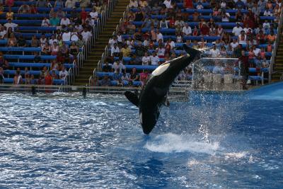 SeaWorld 030.jpg