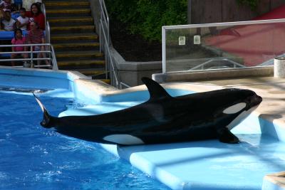 SeaWorld 031.jpg