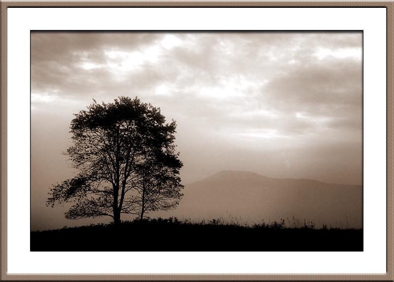 06.23.04 Foggy Sunrise