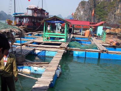 HaLong - Buying Lunch