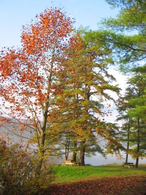 Pennsylvania - In the mist, Fall Colors