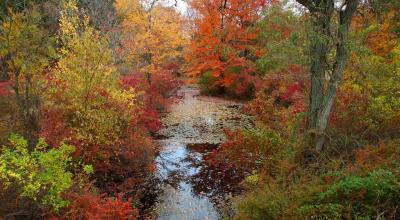 Harriman st pk NY-1.jpg