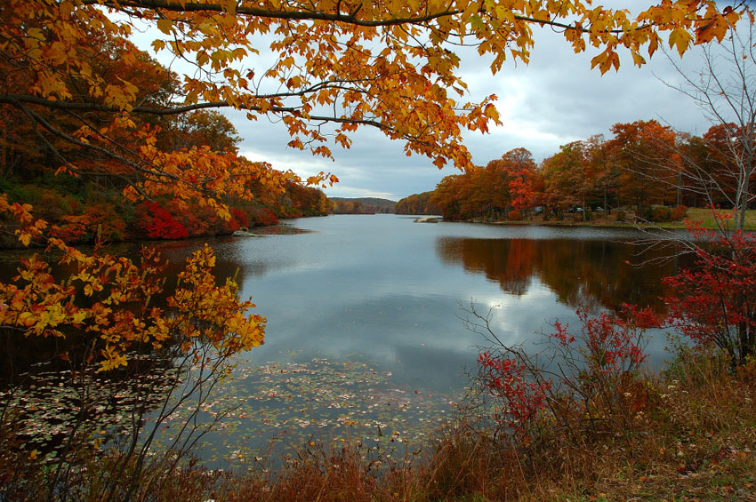 Harriman st pk NY-086s.jpg