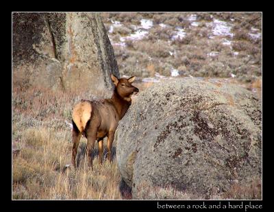 11-04betweenrockandhardplac.jpg