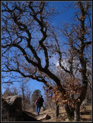 2-05lilhikesinnercanyontrai.jpg