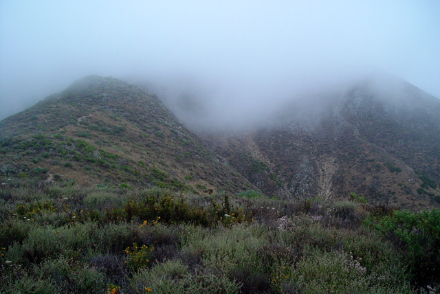 A Walk in the Clouds