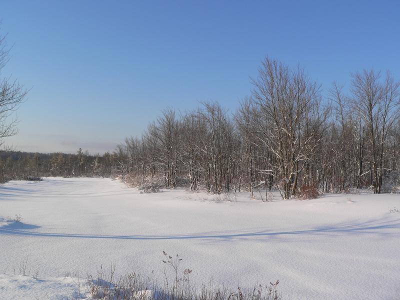 Cridley River 2-late winter[=]
