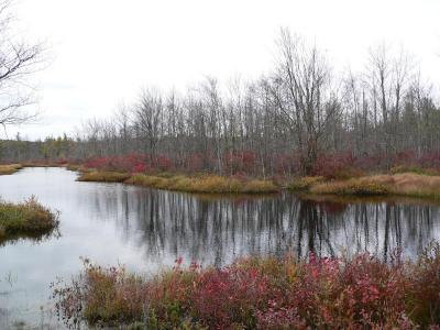 Cridley River 2-late fall[=]