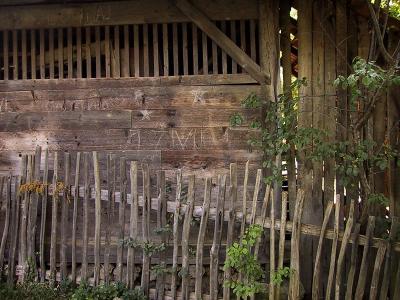 Wood (*)