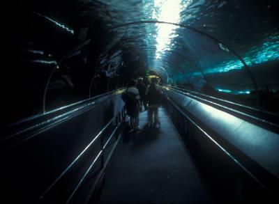 Sydney Aquarium