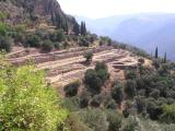 Gymnasium, Delphi