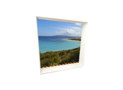 Back cover.jpg
