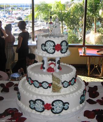 the Coolest Wedding Cake ever!