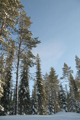 u49/adriank/medium/40902336.IMG_1299copy.jpg