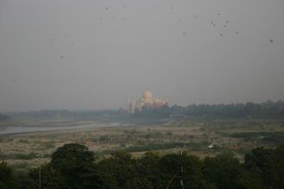 View of Taj Mahal from Agra Fort