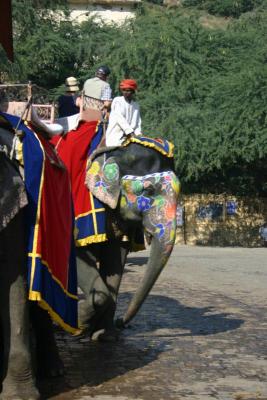 
Decorated elephant