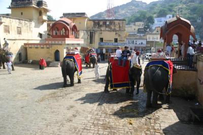 Elephant parking