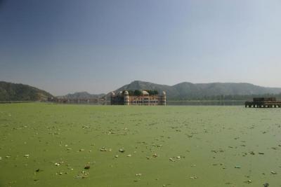Jal Mahal - a palace in the middle of a lake