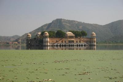 Jal Mahal - a place in the middle of a lake