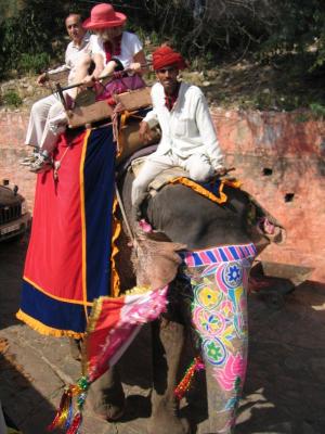 
Decorated elephants