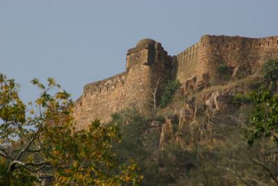 Old Fort Wall