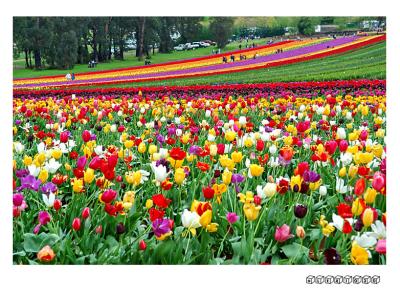 DSC_0271a.jpg