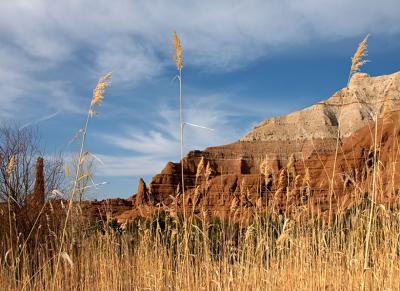 Kodachrome Basin Grass