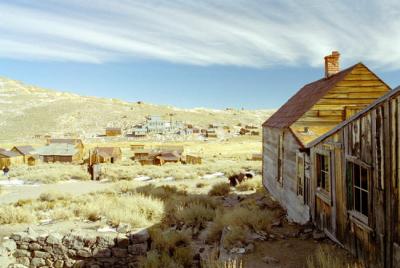 Bodie