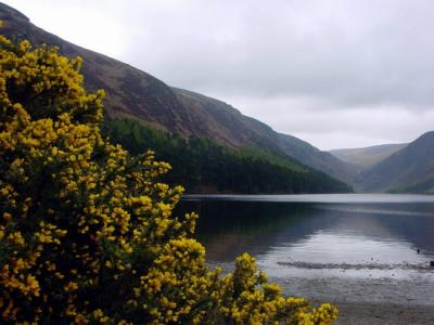Glendalough