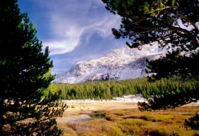 Tuolome Meadows