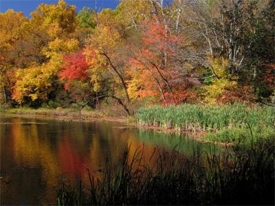 u49/anayv/medium/35632128.eAutumnscenesS70psIMG.jpg