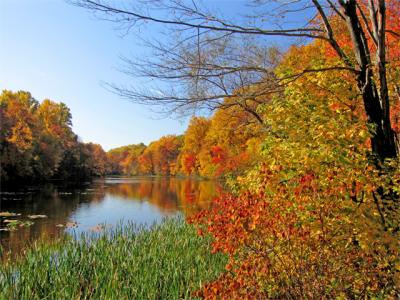 u49/anayv/medium/35634354.e2Autumn2Shadowhighligh.jpg