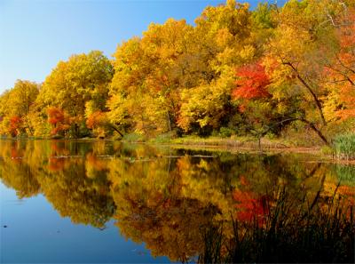 e-2Reflections2--01--FZ10-p.jpg