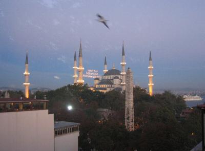 Bird and Mosque
