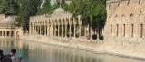 Rizvaniye Camii - visitors feed the carp there.