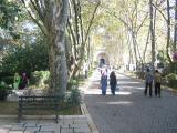 Walking toward Topkapi Palace<br>(benches on left hold interested onlookers).