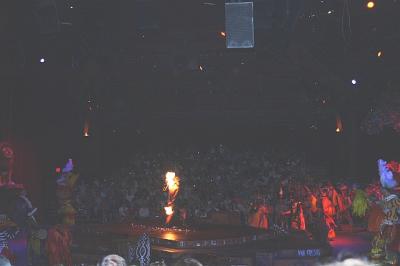 AKFestivalLionKing2.jpg