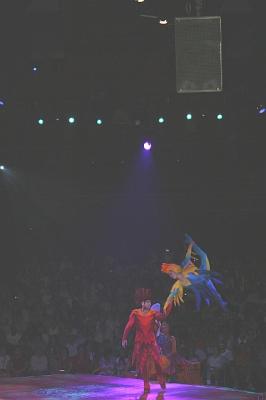 AKFestivalLionKing3.jpg