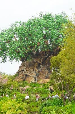 AKTreeOfLife1.jpg