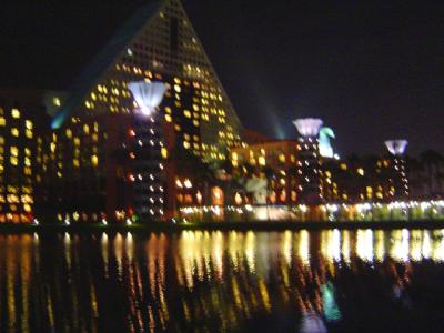 DolphinNighttime.jpg