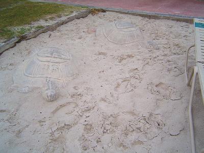 CarribeanBeachPool6.jpg