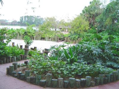 CarribeanBeachWalkway.jpg