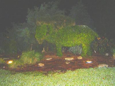 WildernessTopiary.jpg