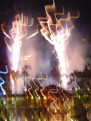 DolphinArtShotFireworks.jpg