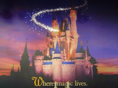 EarportDisneyStorePhotoOpWall.jpg