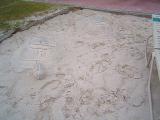 CarribeanBeachPool6.jpg